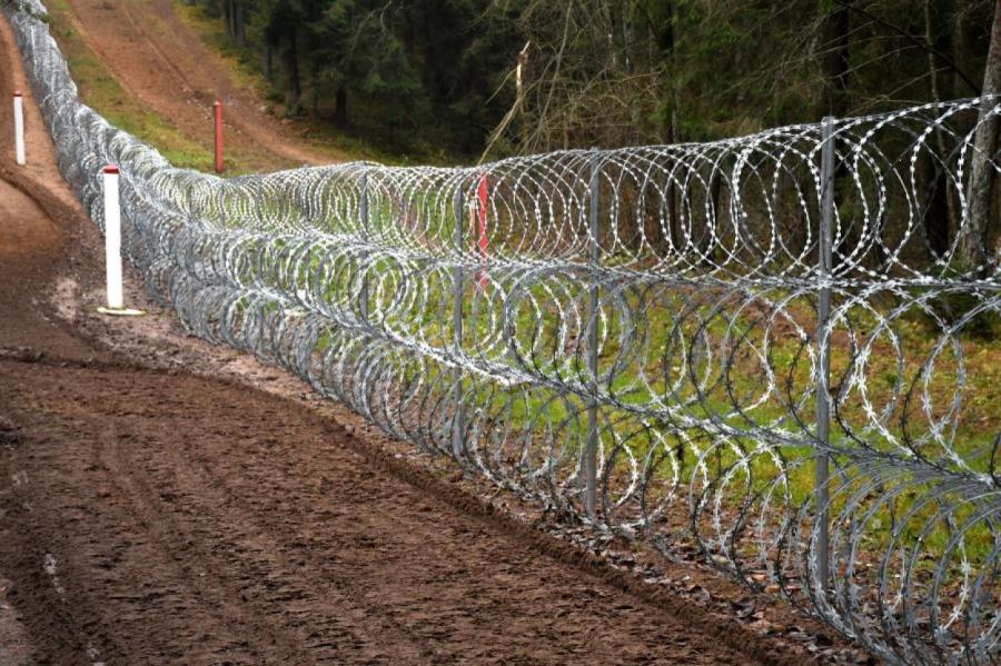 Пограничники сообщили о числе мигрантов, за сутки пытавшихся попасть в ЛР